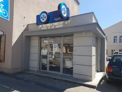 PZU Ubezpieczenia Grudziądz - Agent Alicja Dąbrowska